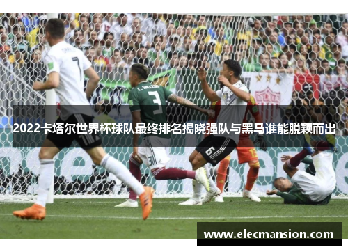 2022卡塔尔世界杯球队最终排名揭晓强队与黑马谁能脱颖而出