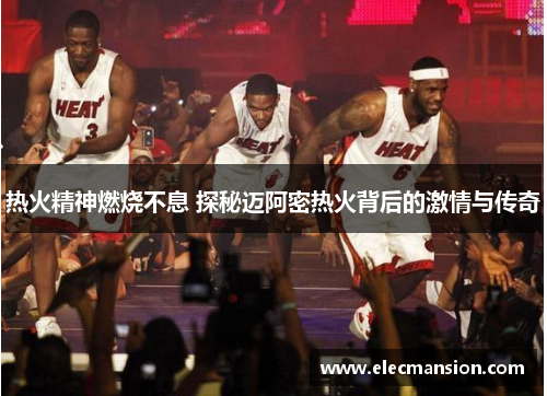 热火精神燃烧不息 探秘迈阿密热火背后的激情与传奇
