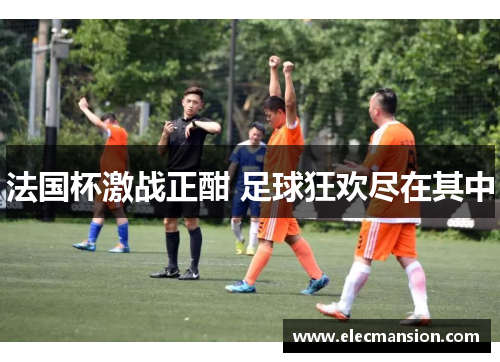 法国杯激战正酣 足球狂欢尽在其中